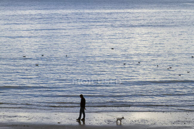 Un homme avec son chien au bord de la mer. — Photo de stock