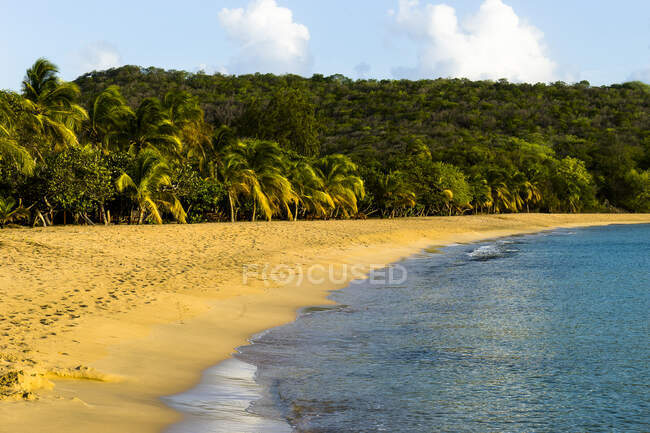 Spiaggia di Saline Bay, Mayreau, Saint-Vincent e Grenadine, Indie Occidentali — Foto stock