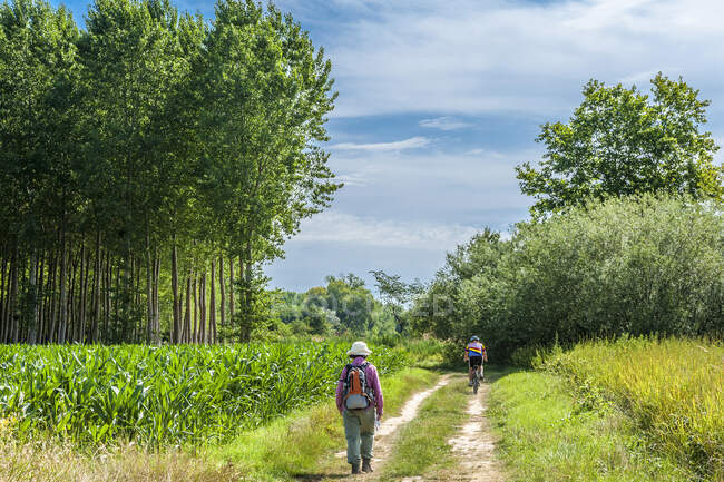 France, Gironde, right side of the Garonne river, Entre-deux-Mers, Saint-Macaire, hiker and cyclist on the former towpath by the Garonne river — Stock Photo