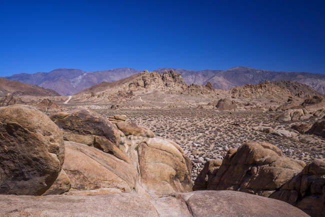 Пустельний краєвид самотній сосни, Алабама Hills, Каліфорнія, США — стокове фото