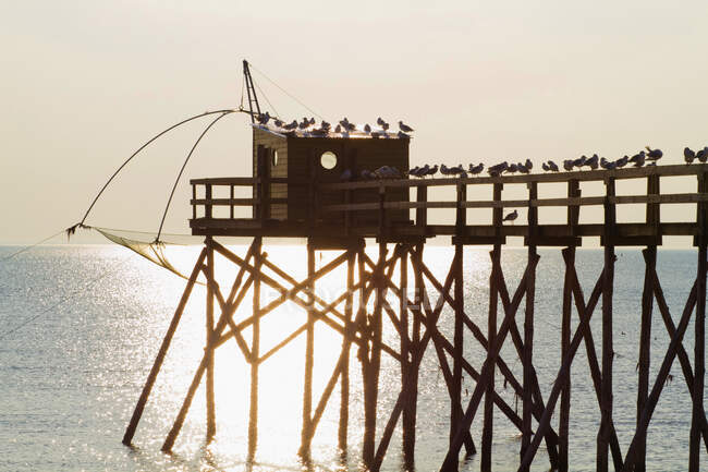 Francia, Bourgneuf Baie, Les Moutiers-en-Retz, gaviotas posadas en una pesquería. - foto de stock