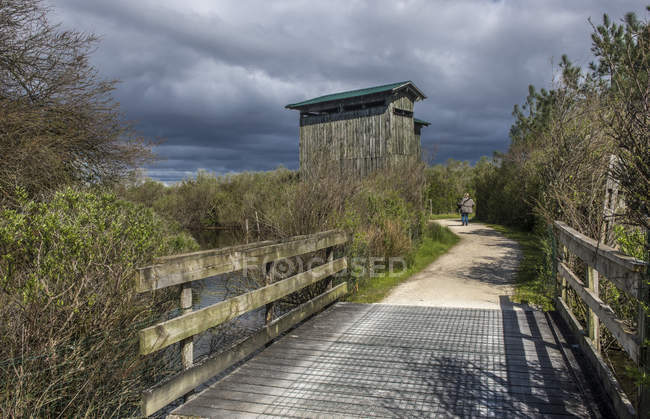 Vista panorámica del puente de madera y camino que conduce a la torre de Canquard. - foto de stock