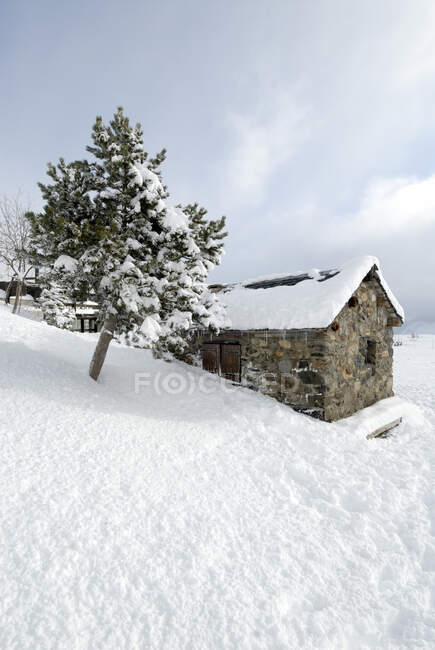 Francia, Altos Pirineos, Valle de Aure, redil de ovejas en la nieve - foto de stock