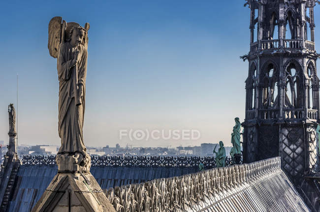 Dettagli architettonici visti dalle torri della Cattedrale di Notre-Dame — Foto stock