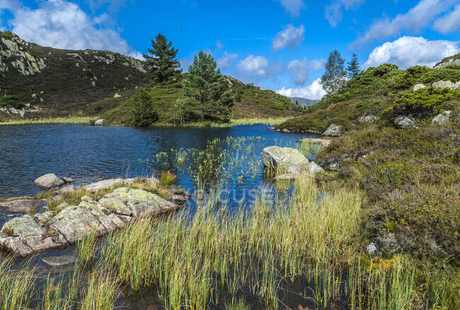 France, Pyrenees Ariegeoises Regional Nature Park, Bassies lake — Stock Photo