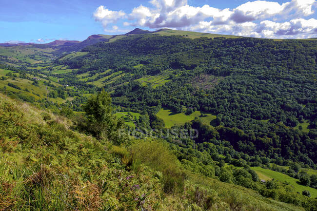 Europe,France,Auvergne-Rhone-Alpes,Salers, valley — Stock Photo
