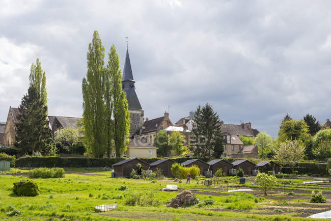 Legumes verdes que crescem no jardim em L 'Aigle, Orne, Normandia, França — Fotografia de Stock