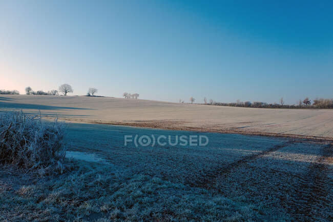 Europe, France, Burgundy, Cote-d'Or, Bard les Epoisses, frozen fields in the coutryside — Stock Photo