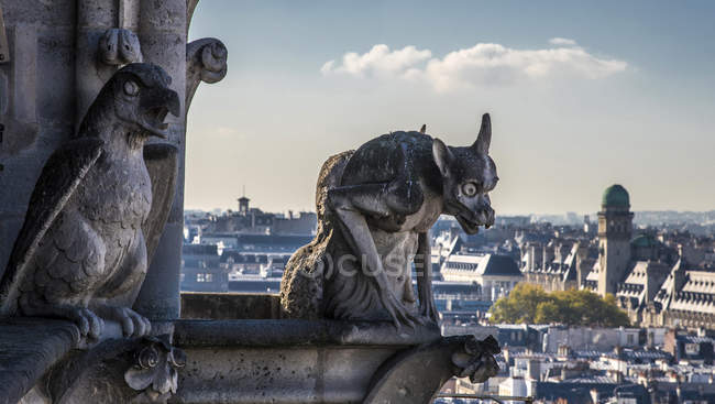 Animais fantásticos esculpidos na torre da Catedral de Notre-Dame, França, Paris — Fotografia de Stock