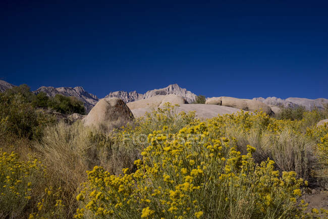 EE.UU., California, Lone Pine, afloramiento rocoso en las colinas de Alabama, Sierra Nevada y Mt Whitney en el fondo - foto de stock