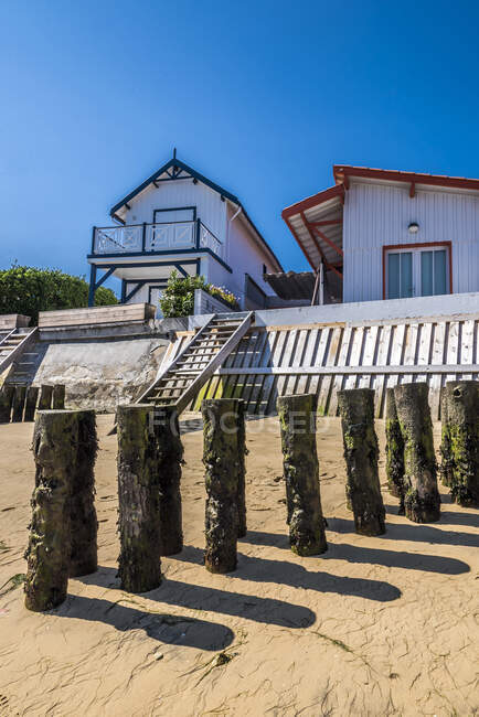 France, Gironde, Arcachon Bay, Cap-Ferret, L'Herbe oyster village, houses along the beach and groin against coastal flood. — Stock Photo
