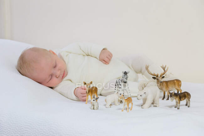 Niño pequeño en layette blanco de 2 meses durmiendo en un fondo blanco rodeado de pequeños animales de granja. - foto de stock