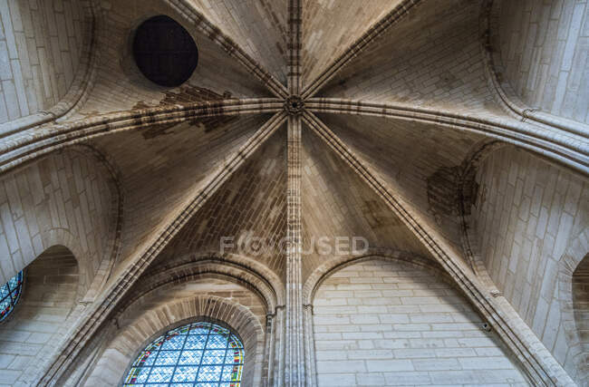 France, Paris, 4ème arrondissement, Ile de la Cité, Cathédrale Notre-Dame, détails architecturaux du plafond d'une tour — Photo de stock