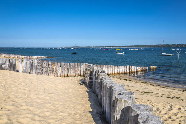 Francia, Gironda, Bahía de Arcachon, Ponte du Cap-Ferret, una ingle para limitar el movimiento del banco de la Conche du Mimbeau - foto de stock