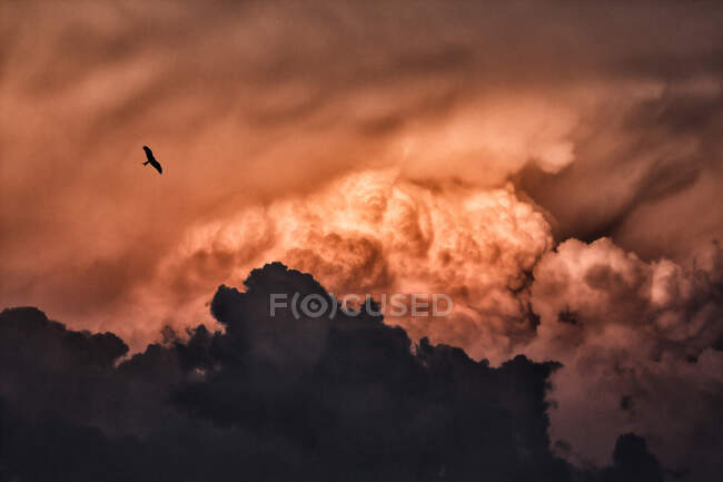 Puy de Dome. Valle di Chaudefour sotto un cielo tempestoso. Milano rapace nel cielo. — Foto stock