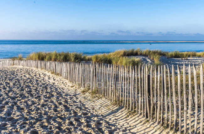 Scenic view of sand fences at France, New Aquitaine — Stock Photo