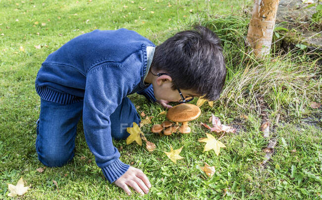 Rapaz de seis anos a observar cogumelos na floresta — Fotografia de Stock