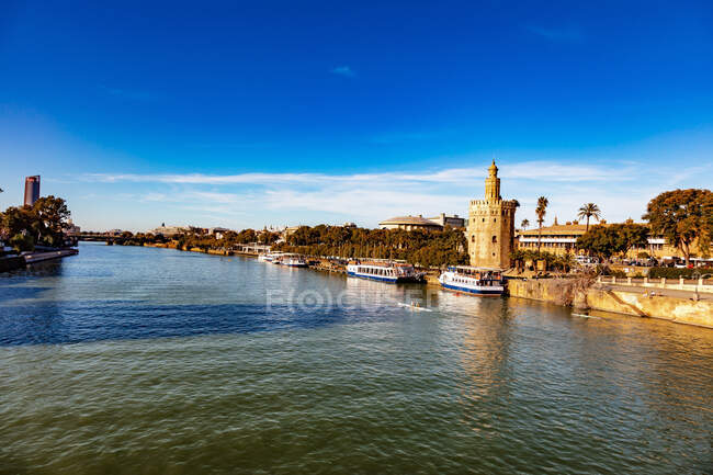 Torre del Oro, Seville, Andalusia, Spain — стокове фото