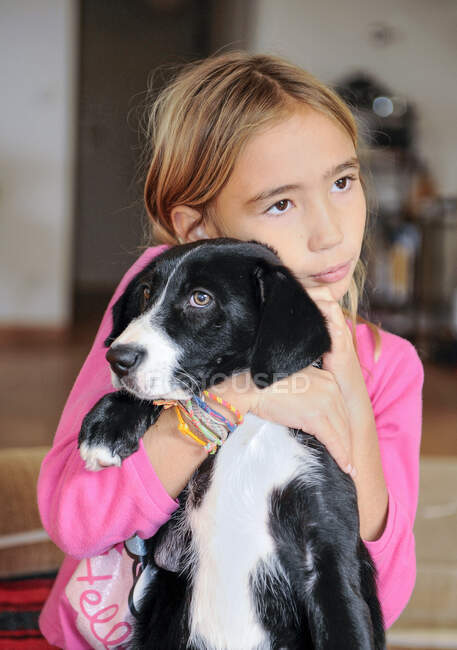 Niña de ocho años sosteniendo a su cachorro (Border collie) - foto de stock
