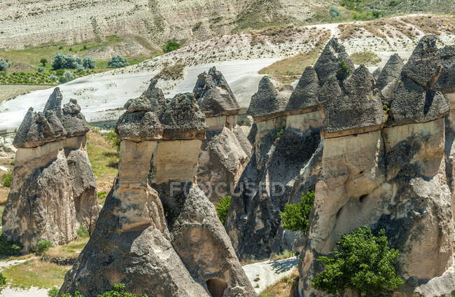Туреччина, Національний парк Грем і скелі Каппадокії, феї-димарі увінчані їх базальтовим куполом в долині Пасабаг (UNESCO World Heritage) — стокове фото