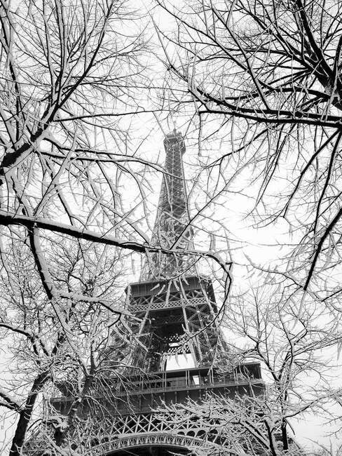 France, Paris, 16th arrondissement, branches of trees and snowy Eiffel tower / Snow covered trees and Eiffel tower, 16th arrondissement, Paris, France — стоковое фото