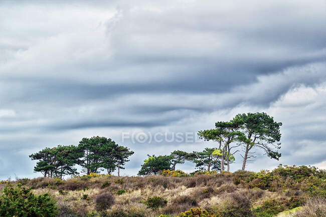 Normandy. Manche. Pointe d'Agon Coutainville. Nature preservation area. Nature reserve during the winter. — Stock Photo