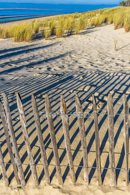 Francia, Nueva Aquitania, Bahía de Arcachon, Pequeña playa de Niza, vallas de arena (ganivelle) contra la erosión. - foto de stock