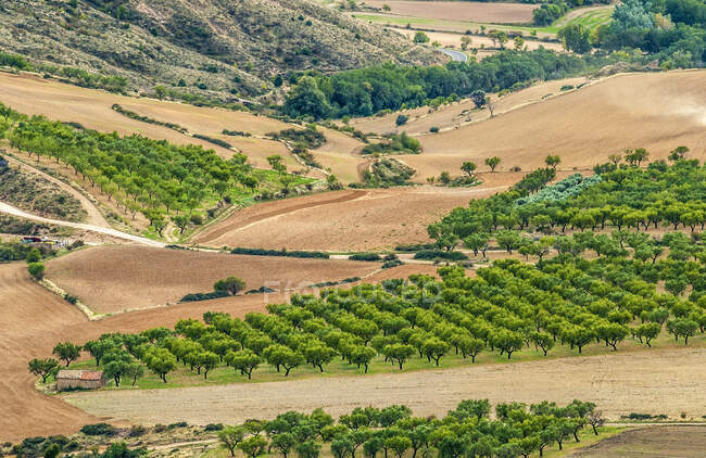 España, Comunidad Autónoma de Aragón, provincia de Huesca, llanura agrícola de Loarre. - foto de stock