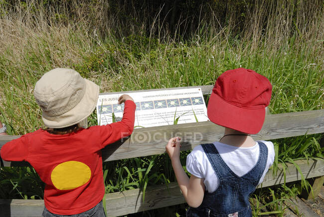 Menina de três anos e menino de cinco anos lendo um quadro de informações em um parque natural — Fotografia de Stock