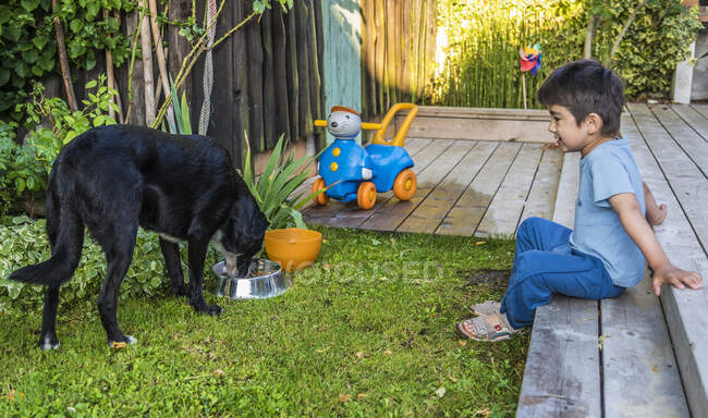 Five-year-old boy watching a dog who is eating — Stock Photo