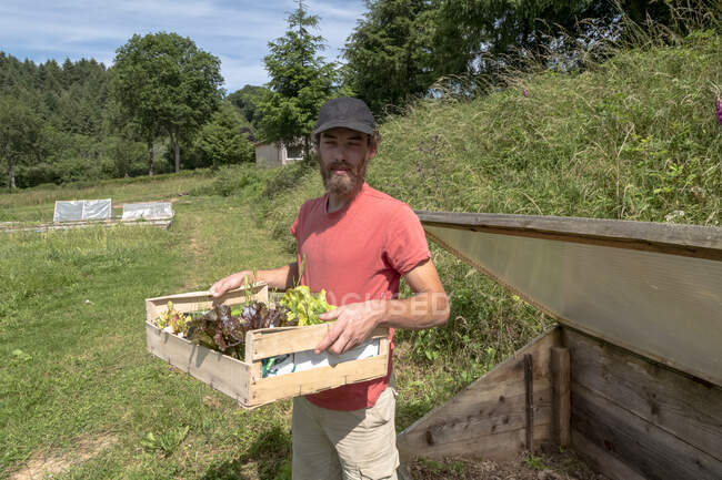 Europa, França, Bourgogne, Epoisses, jovem jardineiro de mercado em sua horta segurando uma caixa de salada — Fotografia de Stock