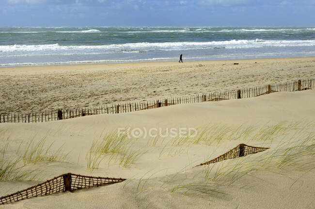 Francia, suroeste de Francia, bahía de Arcachon, protección contra la invasión de la arena - foto de stock
