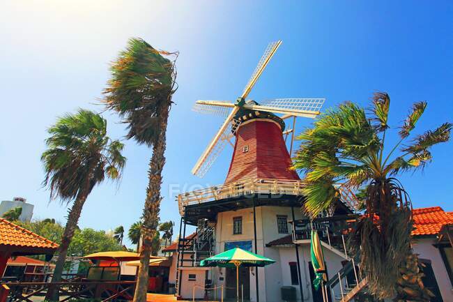 Antillas Holandesas. Aruba. Viejo molino de viento. Palm Beach. - foto de stock