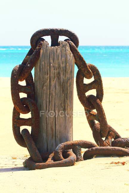 Antilles néerlandaises. Plage d'Aruba — Photo de stock