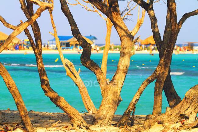 Dutch Antilles. Aruba. Baby beach. — Stock Photo