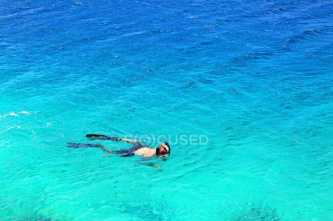Antillas Holandesas. Bonaire. Kralendijk. Buceo - foto de stock