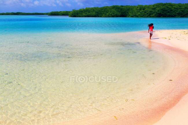 Antilles néerlandaises. Bonaire. Plage rose dans la baie du lac — Photo de stock