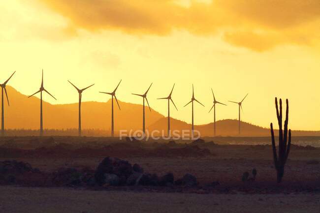 Antillas Holandesas. Bonaire. Molino de viento en la orilla norte. - foto de stock