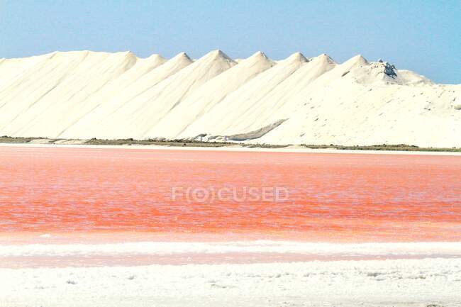 Antillas Holandesas. Bonaire. Sal... - foto de stock
