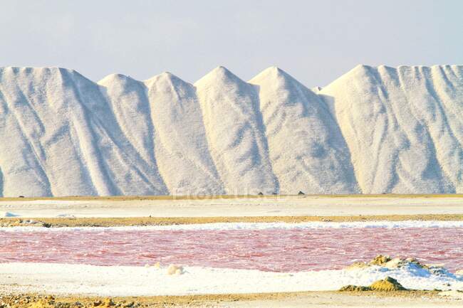 Dutch Antilles. Bonaire. Salt.. — Stock Photo