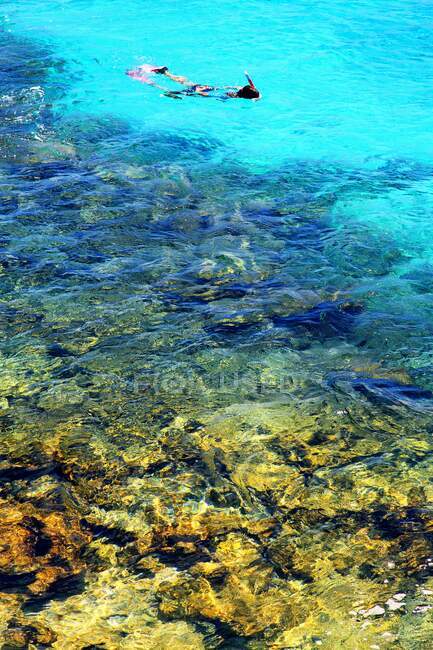 Dutch Antilles. Bonaire. Kralendijk. Snorkling — Stock Photo