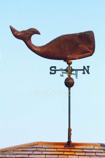 Canada, Prince Edward Island. Charlottetown. Whale — Stock Photo
