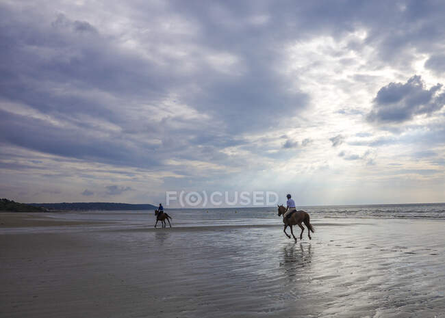 Normandia (França), dois cavaleiros em plena galope em uma praia — Fotografia de Stock