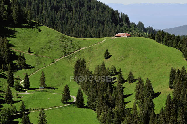 Suiza, Fribourg canton, Les Paccots mountain station on Chatel-St-Denis district, alpin scenery around the Dent de Lys mount in summer - foto de stock