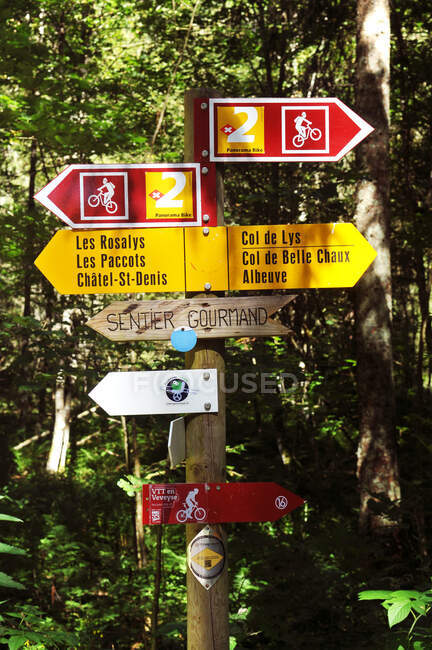 Suiza, Friburgo cantón, Les Paccots estación de montaña en el distrito de Chatel-St-Denis, senderos para caminar - foto de stock