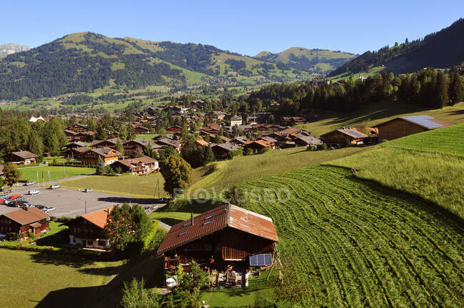 Швейцария, Бернский кантон, Хайт-Симменталь летом — стоковое фото