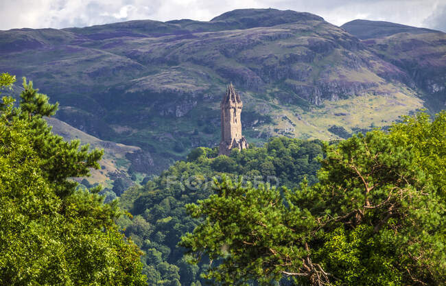 Europa, Gran Bretaña, Escocia, Edimburgo, monumento a William Wallace cerca de Stirling - foto de stock