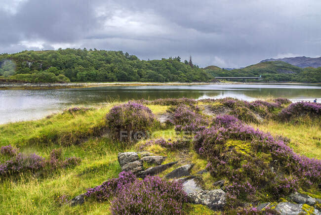 Europe, Grande-Bretagne, Écosse, Côte ouest des Highlands, région de Lochaber, Loch Morar — Photo de stock