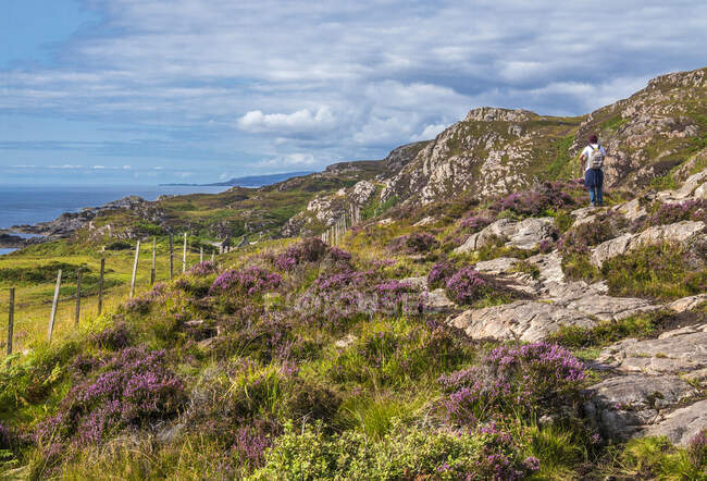 Europa, Gran Bretaña, Escocia, Hébridas, al sureste de la Isla de Skye, caminante en el páramo en Point of Sleat - foto de stock