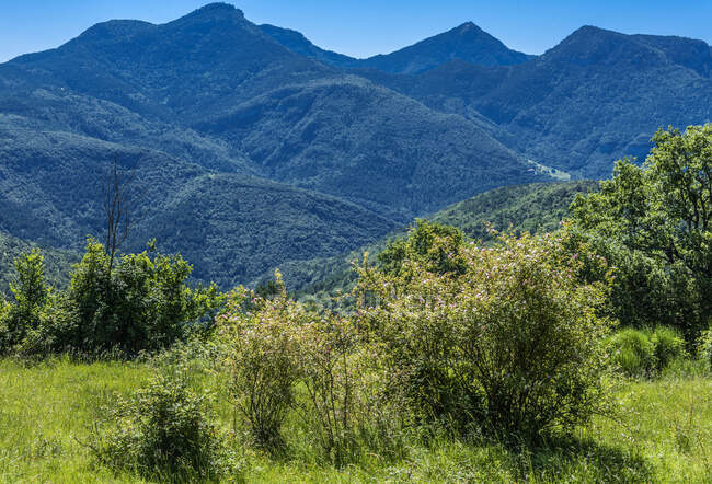 Espagne, Catalogne, comarque de Garrotxa, Tortella, Pyrénées catalanes paysage vu de l'Alta Garrotxa — Photo de stock